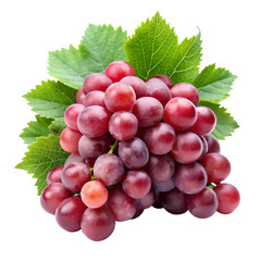 Fototapeta premium Fresh bunch of red grapes with green leaves isolated on transparent background, a healthy and delicious snack, perfect for wine making, rich in vitamins and antioxidants