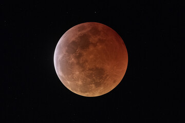 Blood Moon Eclipse Over the Night Sky
