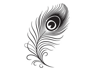 Vector silhouette of a Peacock feather logo design, Hand drawn Peacock feather set, Peacock feather logo design vector illustration, Peacock feather logo icon template vector illustration. © Nargis