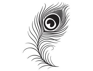 Vector silhouette of a Peacock feather logo design, Hand drawn Peacock feather set, Peacock feather logo design vector illustration, Peacock feather logo icon template vector illustration.