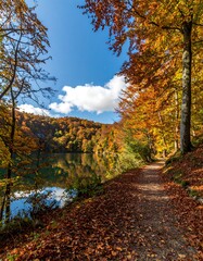 Obraz premium Autumn path by a lake