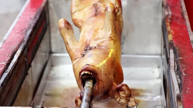 Whole roasted pig on a rotisserie with golden crispy skin, traditional Asian barbecue style, authentic street food cooking, cultural feast and festive cuisine background.