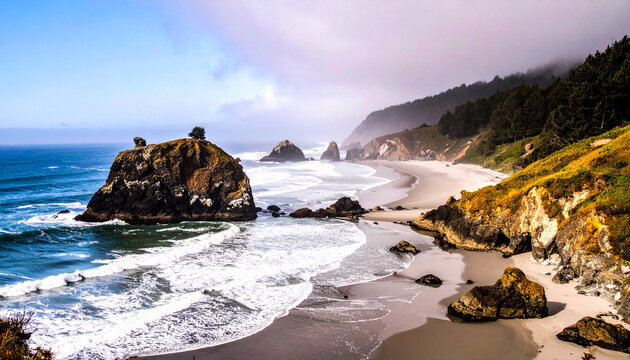 Pacific Coastal Scenery: Rocks and Tree Covered Cliffs on the Beach 108