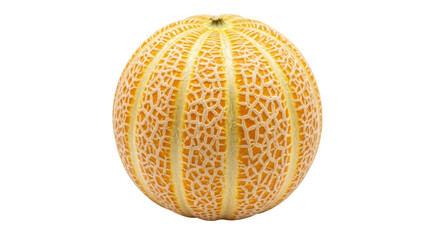 Isolated Cantaloupe Melon