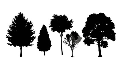 Silhouette trees forest tree nature black and white landscape forest trees vector art design element graphic