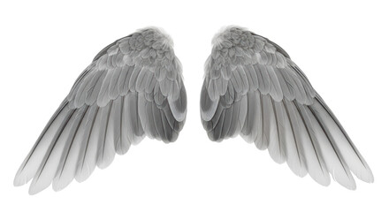 Isolated Angel Wings