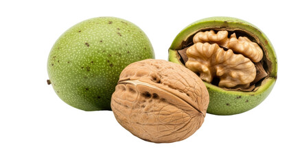 Isolated Walnuts