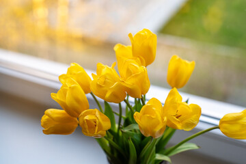 Close up photo of a fresh yellow tulips in a glass vase placed on a windowsill. Natural light...
