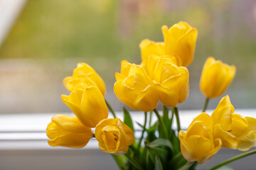 Obraz premium Close up photo of a fresh yellow tulips in a glass vase placed on a windowsill. Natural light highlights the vibrant petals and lush green leaves, creating a bright and cheerful spring mood.