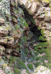 shallow river bottom with a small current in the spring period with various shapes and structures...