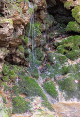 shallow river bottom with a small current in the spring period with various shapes and structures...