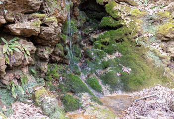 shallow river bottom with a small current in the spring period with various shapes and structures...