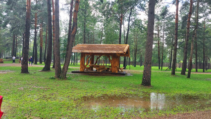 Shelter provides refuge in a lush forest during light rain in a peaceful park