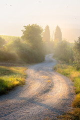 italy morning fog tuscany countryside rolling hills; summer farmland and country road;