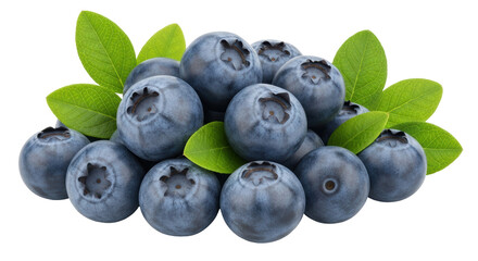 Isolated Heap of Blueberries with Leaves