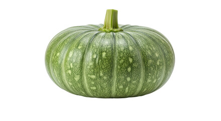 Isolated Green Pumpkin Gourd
