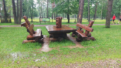 Wooden picnic table and benches in a forest park surrounded by trees and a walking path