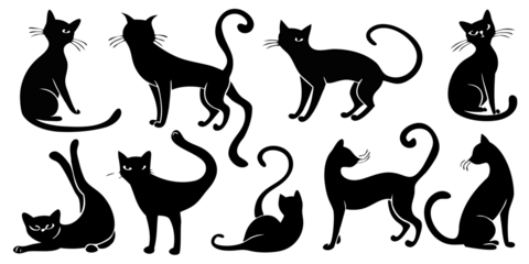 Collection of black cat silhouettes in various poses, isolated on transparent background, showcasing different feline movements and postures, perfect for graphic design and illustration projects