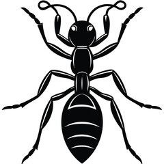 Ant Silhouette