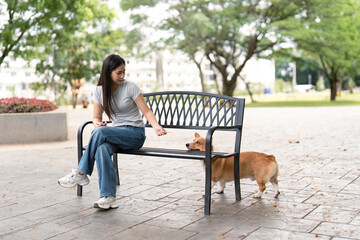 Woman playing with corgi dog on park bench