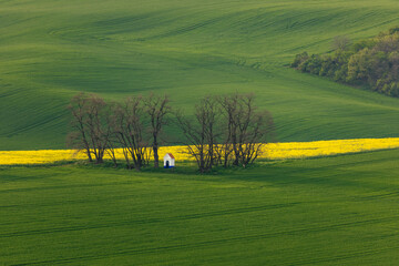 Rolling green fields of Moravia in spring, painted with colorful patches and gentle hills