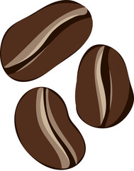 coffee beans hand drawn illustration