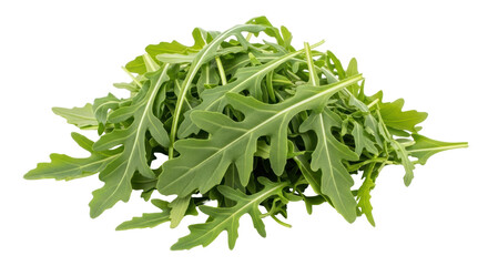Isolated Arugula