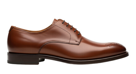 Isolated Brown Leather Shoe