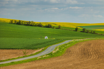 Rolling green fields of Moravia in spring, painted with colorful patches and gentle hills
