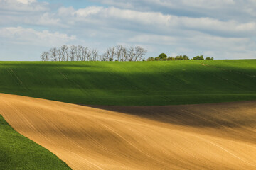 Obraz premium Rolling green fields of Moravia in spring, painted with colorful patches and gentle hills