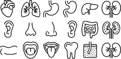 Finance and banking line icons pack featuring money, payment, investment, savings, currency exchange, credit, analytics, business transactions, and economic growth