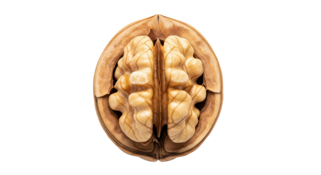 Isolated Walnut Halves