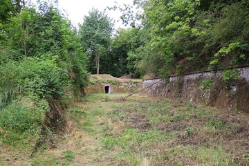 Overgrown moat and tunnel entrance at the historic Owcza Góra fortress in Kłodzko, surrounded by dense greenery