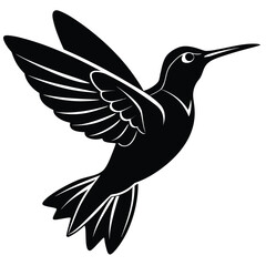Fototapeta premium Hummingbird Silhouette