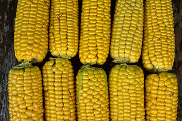 Fresh ripe corn cobs on rustic wooden table, close up. Sweet corn ears background. Group of corn cob for sale. Farm s local market. Harvest in the village.