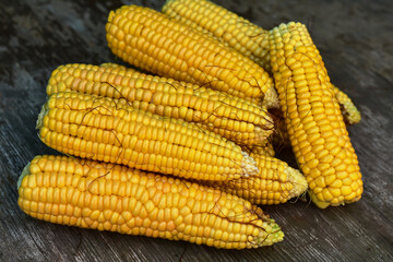 Fresh ripe corn cobs on rustic wooden table, close up. Sweet corn ears background. Group of corn cob for sale. Harvest in the village. Farm s local market.