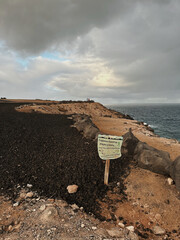 landscape of the beach