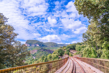 Ferrovia nel bosco di Niala a Ussassai, Sardegna