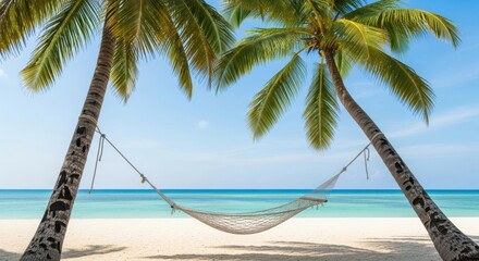 Serene Beach Hammock: Palm Trees, Turquoise Water, White Sand Paradise