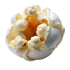 A closeup of a single piece of popcorn isolated on a transparent background, highlighting its texture and form