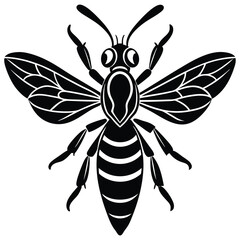 Obraz premium Wasp Silhouette