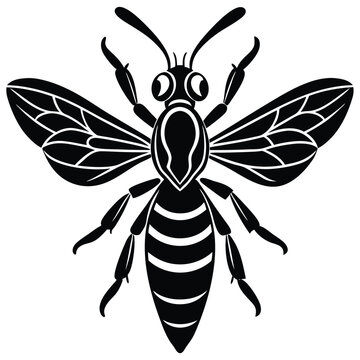 black wasp insect isolated clip art preview