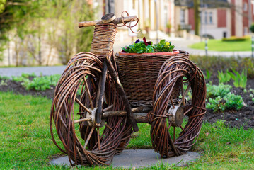 Bicycle woven from vines, a decorative decoration, a stand for flowers in the garden