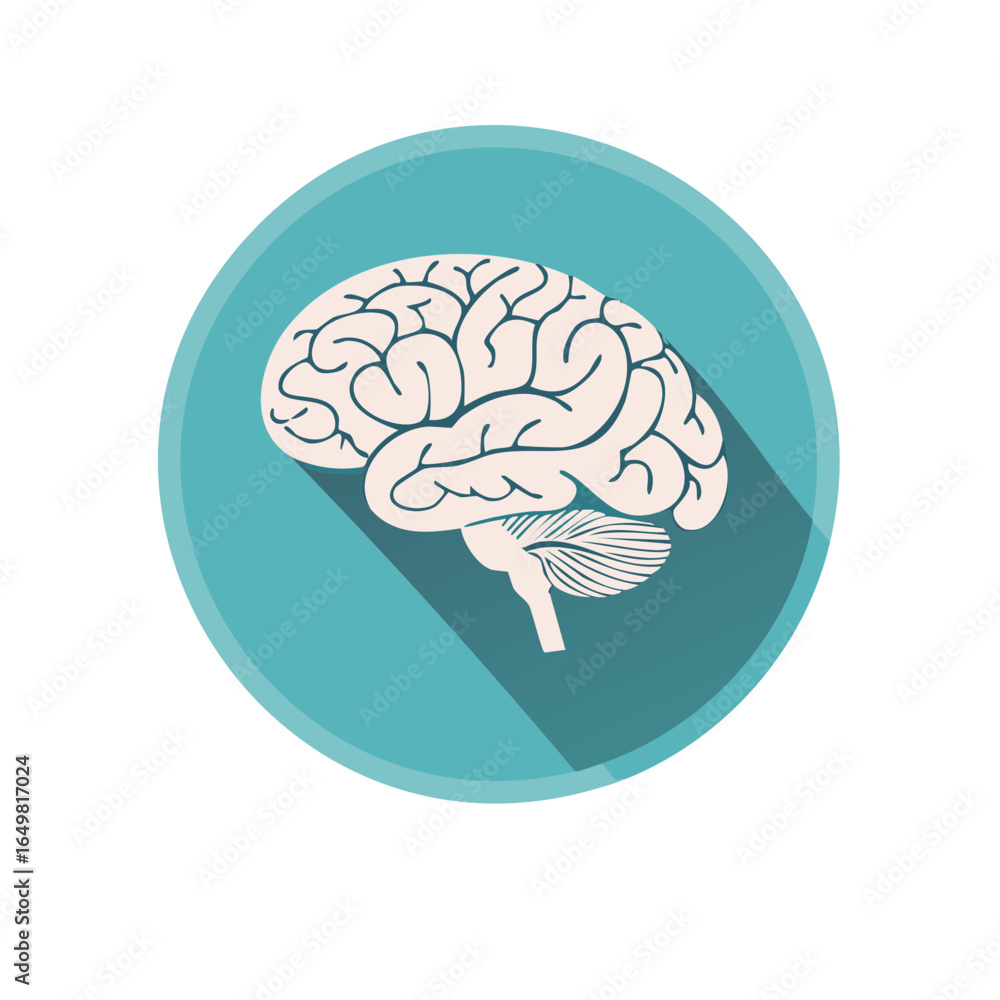 Poster brain illustration in flat design style on circle shape for science and medical usage
