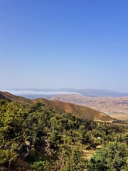In the foreground, the oak trees stand against the backdrop of overlapping meadows that stretch out in warm light toward the horizon, where wavy hills blend with clouds on the peaks on a sunny day.