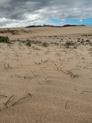 sand dunes in death valley