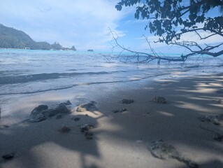Pacific