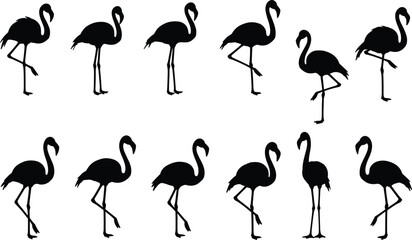 WebFlamingo silhouettes, bird, pose, standing, walking, neck, leg, vector, black, elegant, nature, animal