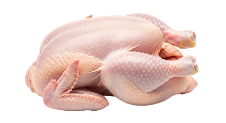 Isolated Raw Chicken