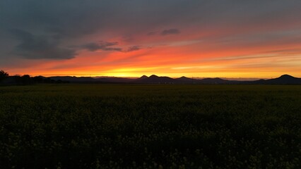 Vivid sunset over blooming yellow rapeseed field with silhouettes of trees and distant mountain range, dramatic sky painted in fiery red and orange tones of evening light.